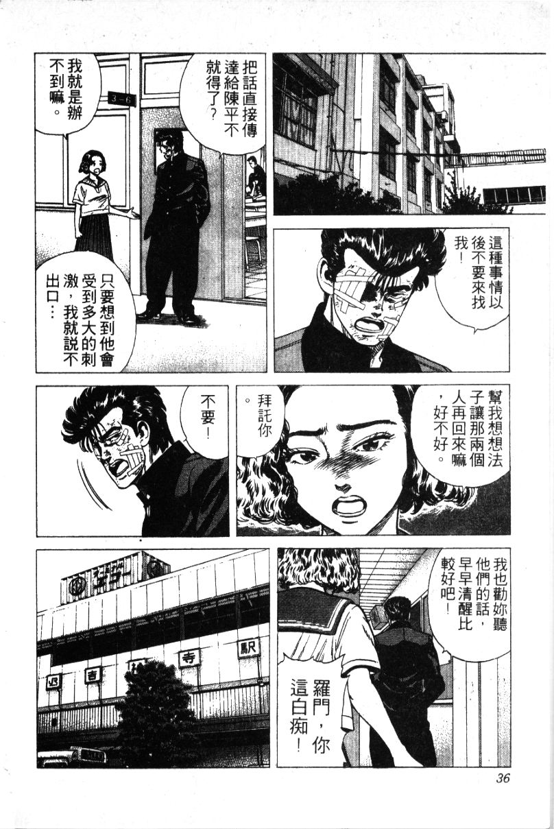 《铁拳对钢拳》漫画 无赖布鲁斯30卷