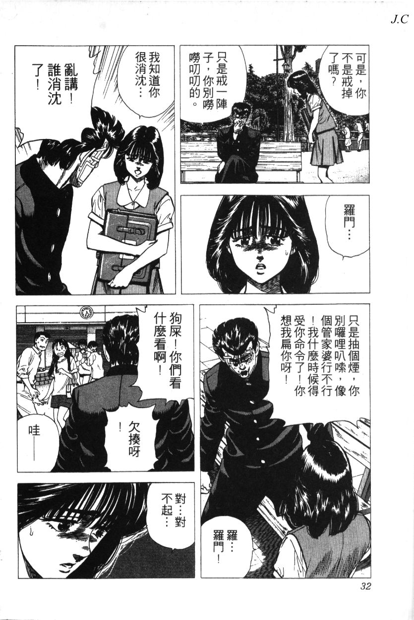 《铁拳对钢拳》漫画 无赖布鲁斯28卷