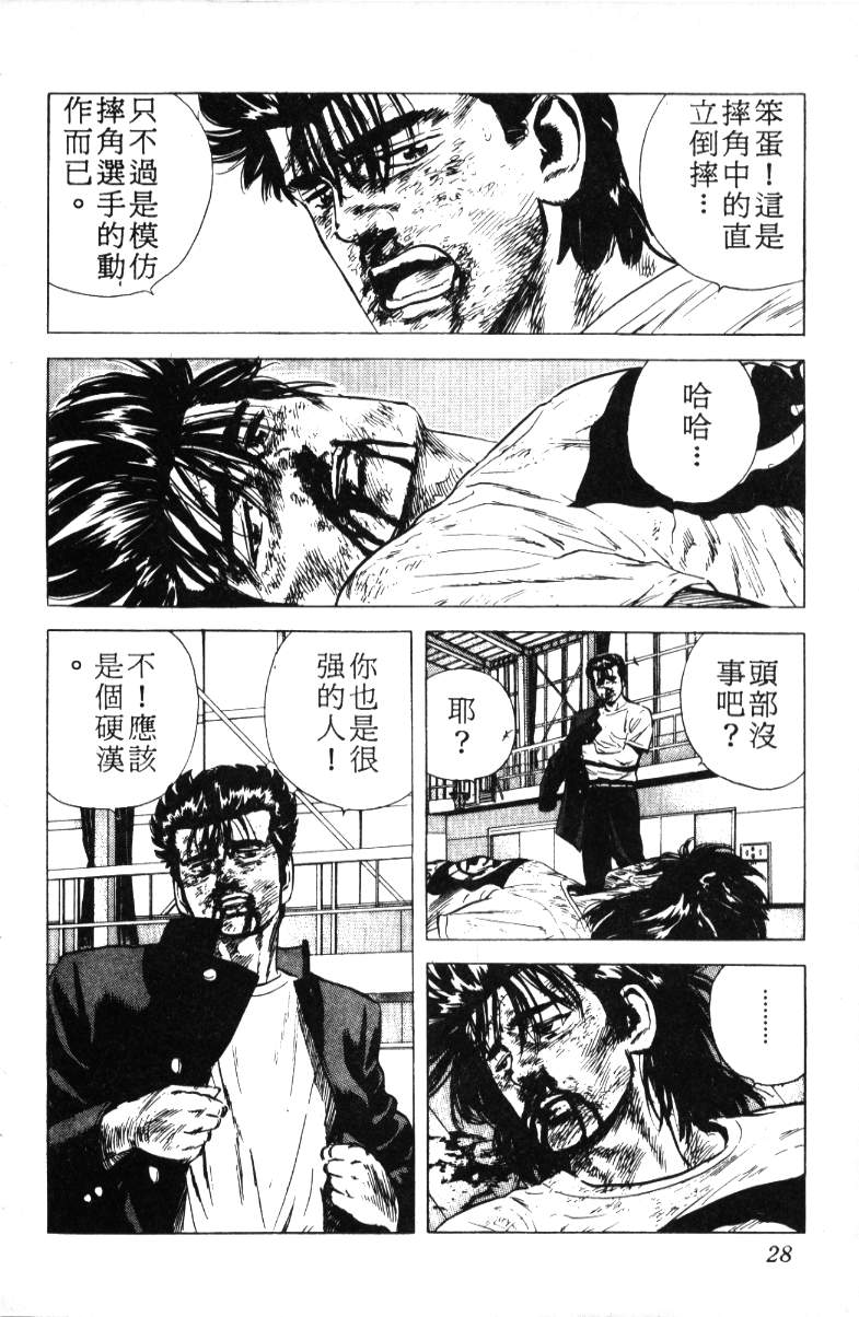 《铁拳对钢拳》漫画 无赖布鲁斯18卷