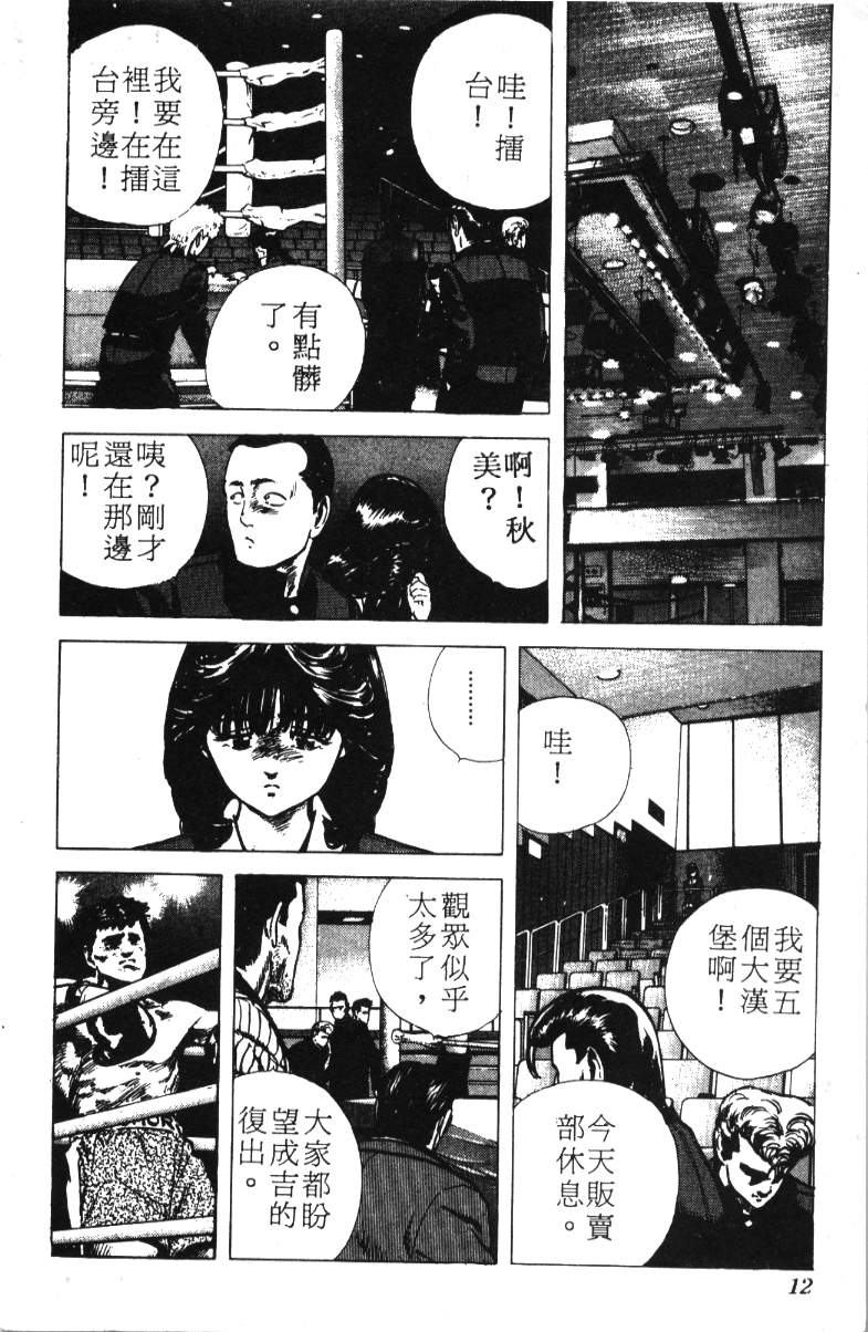 《铁拳对钢拳》漫画 无赖布鲁斯12卷