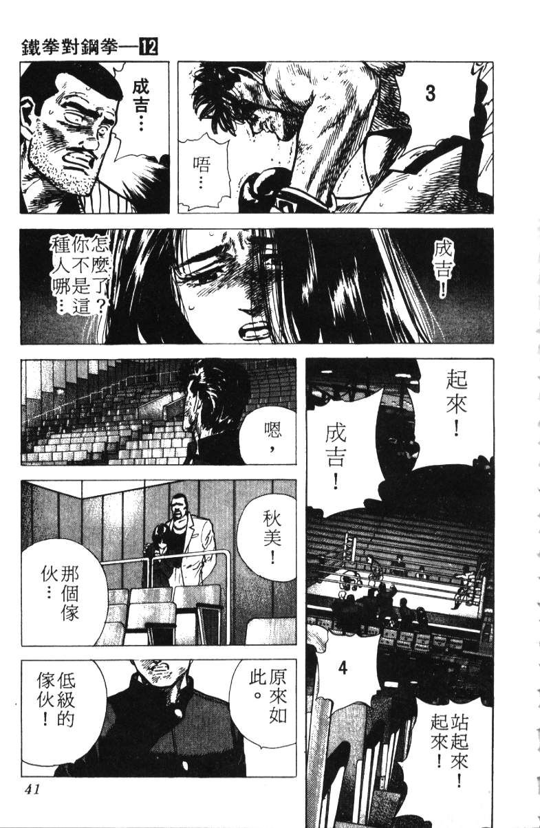 《铁拳对钢拳》漫画 无赖布鲁斯12卷