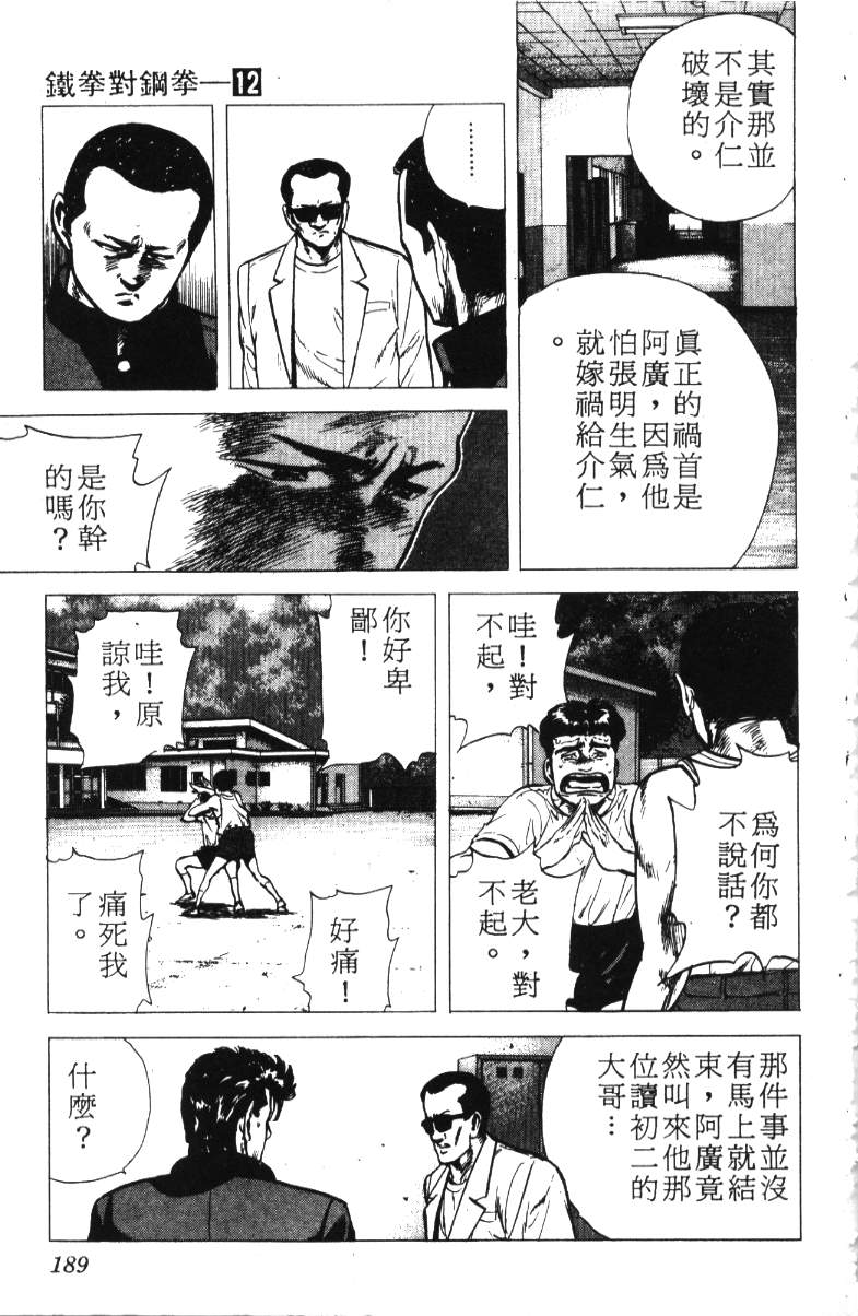 《铁拳对钢拳》漫画 无赖布鲁斯12卷