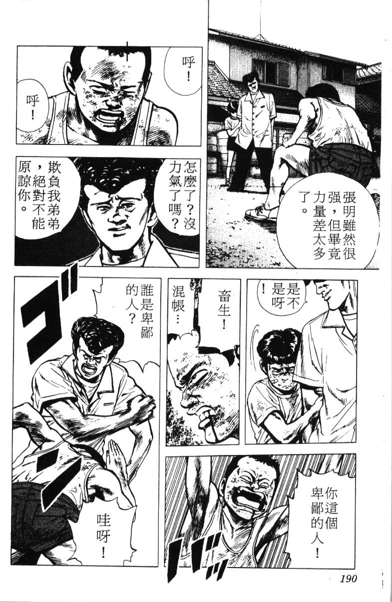 《铁拳对钢拳》漫画 无赖布鲁斯12卷