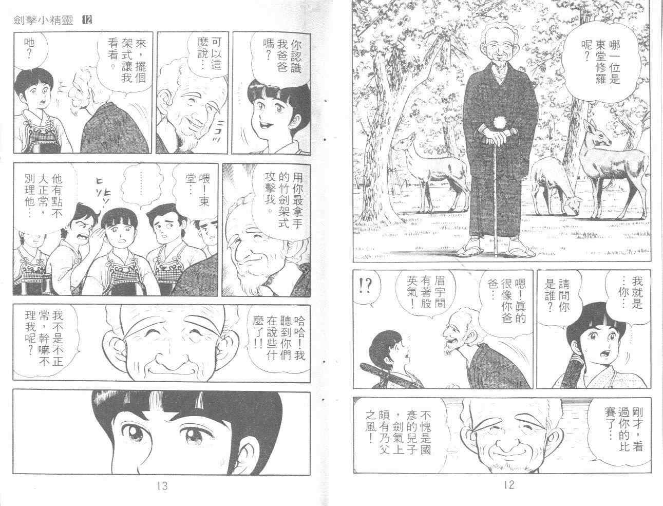 《剑击小精灵》漫画 12卷