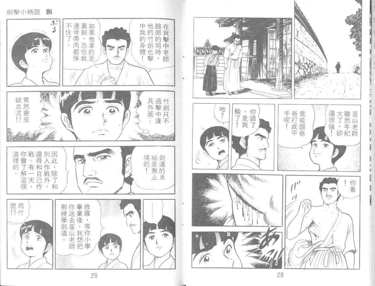 《剑击小精灵》漫画 12卷