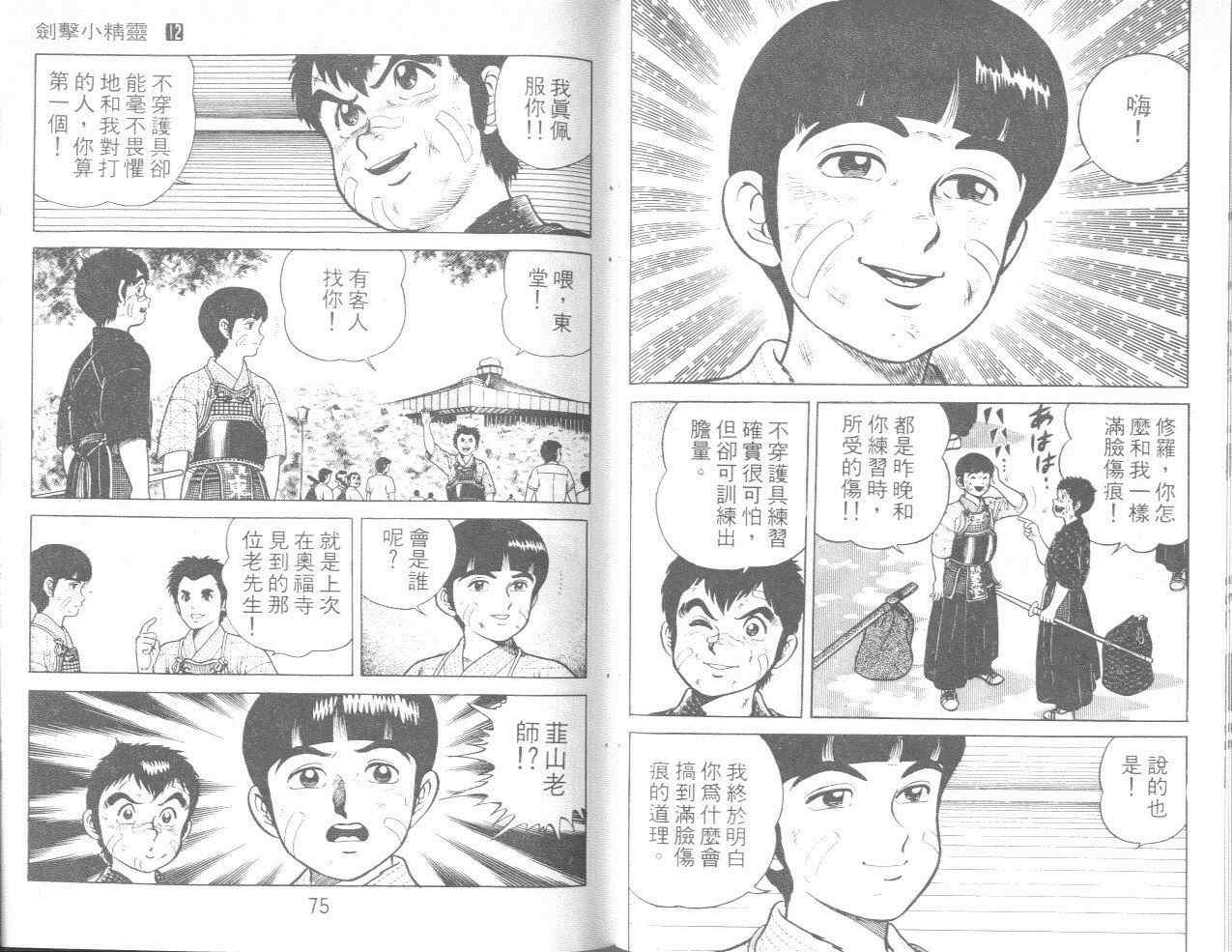 《剑击小精灵》漫画 12卷