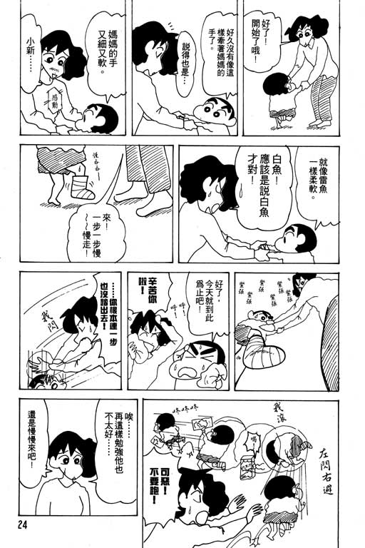 《蜡笔小新》漫画 21卷