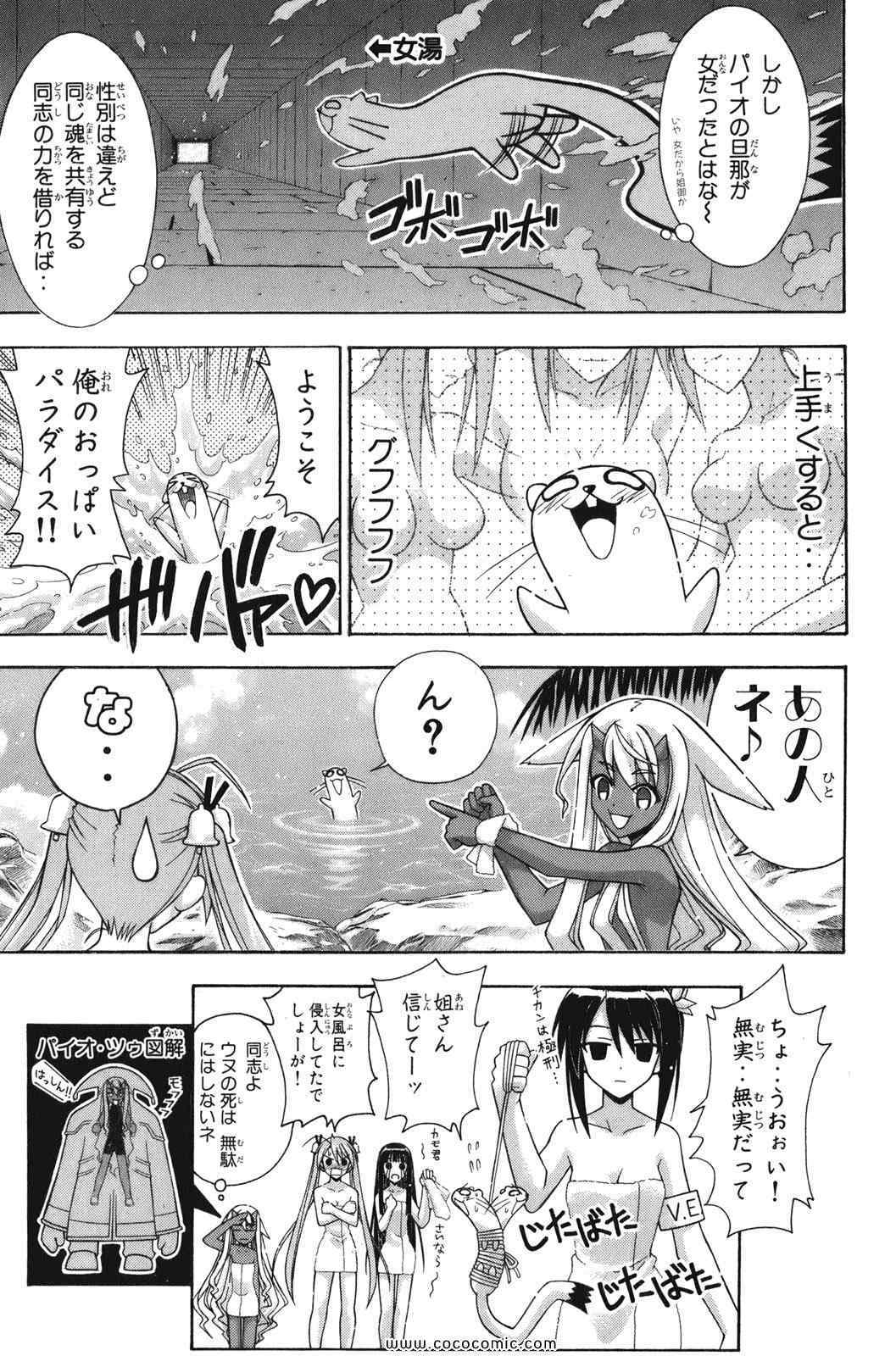 《魔法先生ネギま[日文]》漫画 魔法先生ネギま 26卷