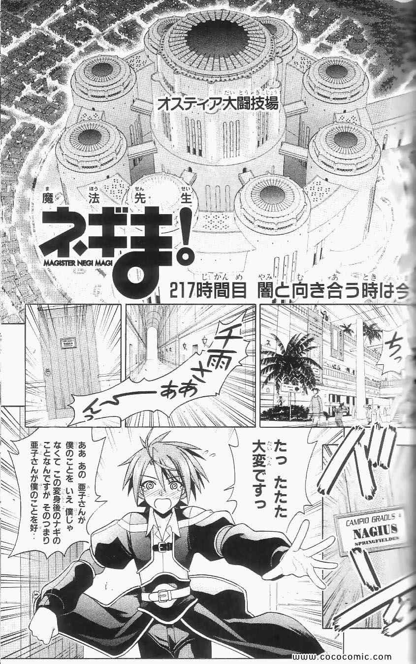 《魔法先生ネギま[日文]》漫画 魔法先生ネギま 24卷