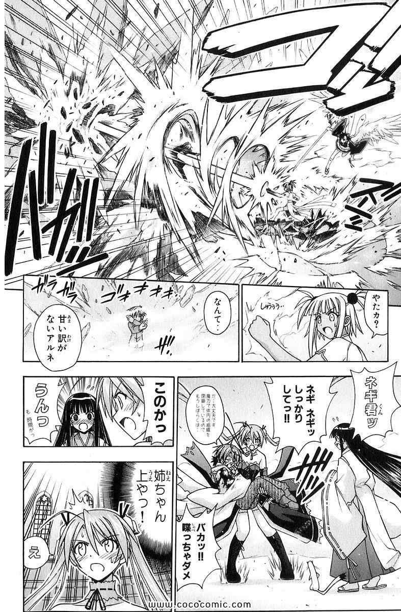 《魔法先生ネギま[日文]》漫画 魔法先生ネギま 21卷