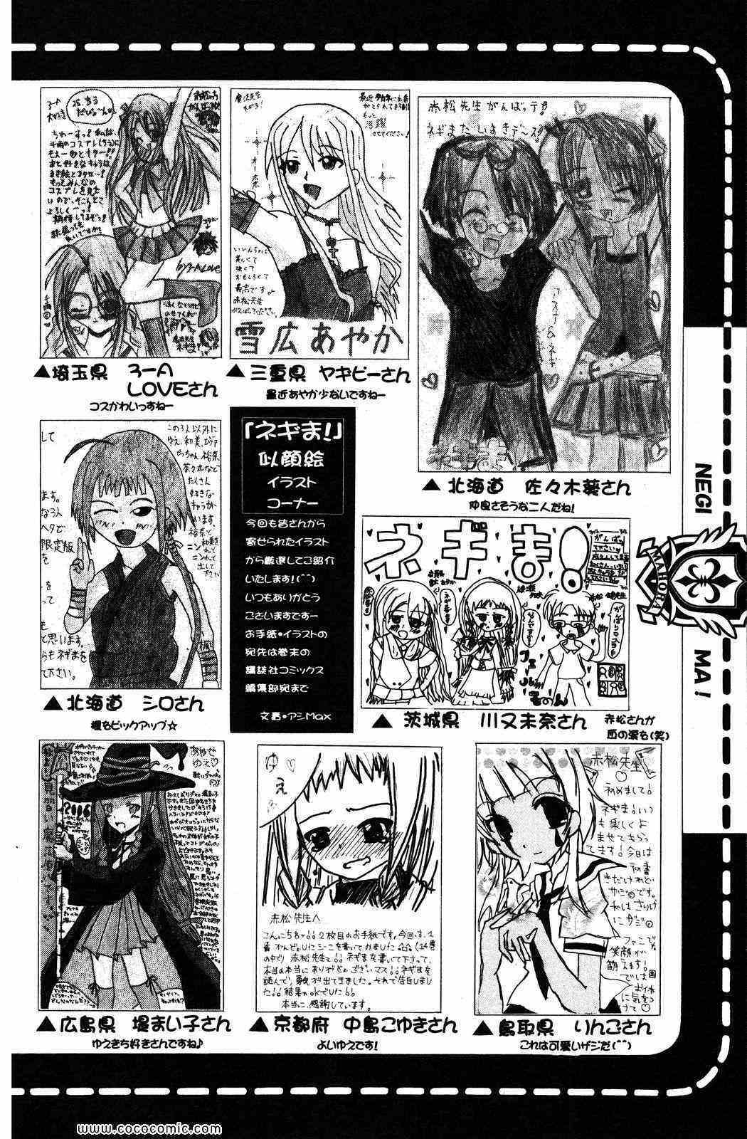 《魔法先生ネギま[日文]》漫画 魔法先生ネギま 16卷