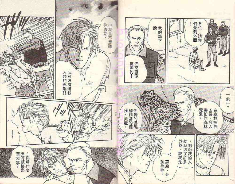 《战栗杀机》漫画 banana fish17卷