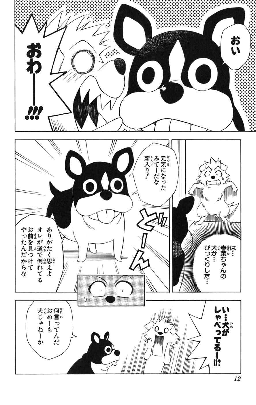 《To LOVEるとらぶる》漫画 To LOVE 06卷