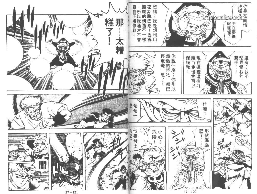 《神龙之谜》漫画 29卷