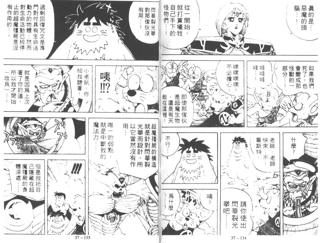 《神龙之谜》漫画 29卷