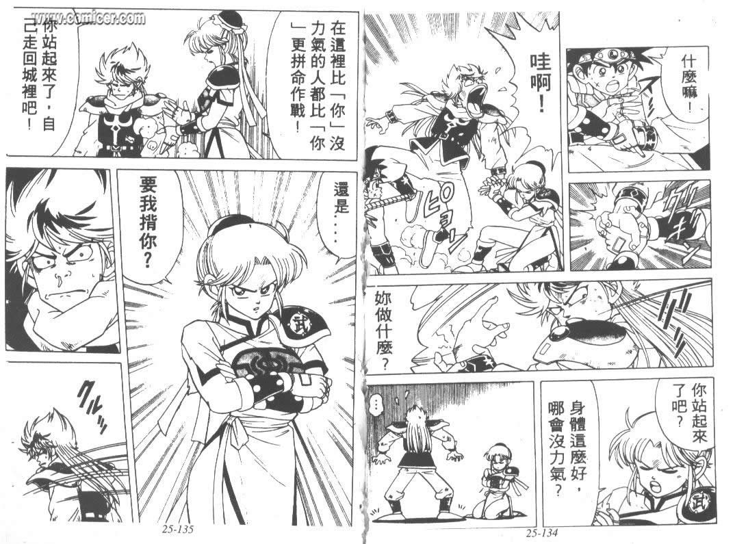 《神龙之谜》漫画 20卷