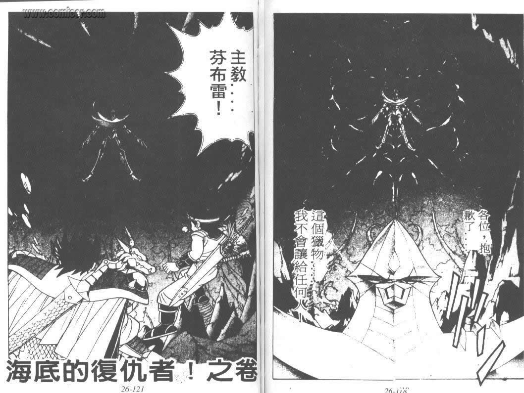 《神龙之谜》漫画 20卷