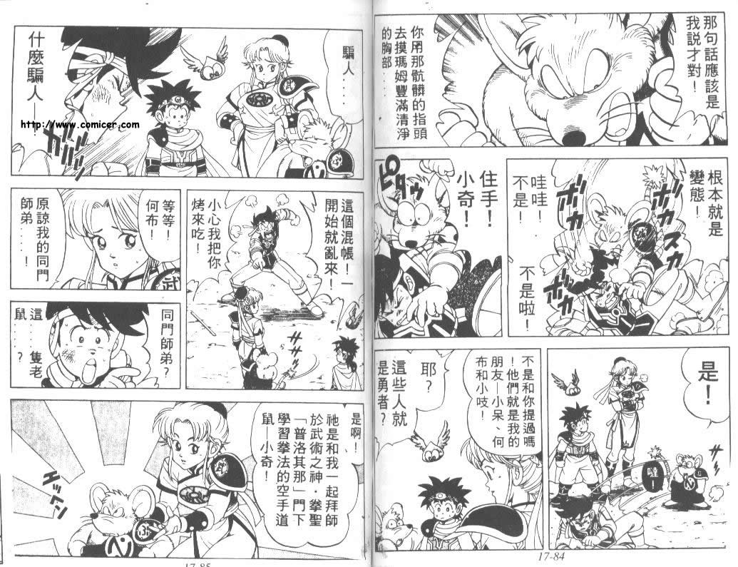 《神龙之谜》漫画 13卷