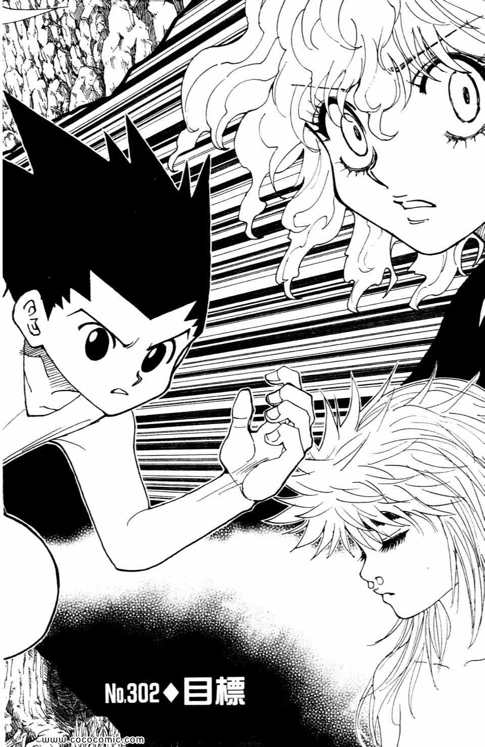 《HunterXHunter 猎人》漫画 猎人29卷