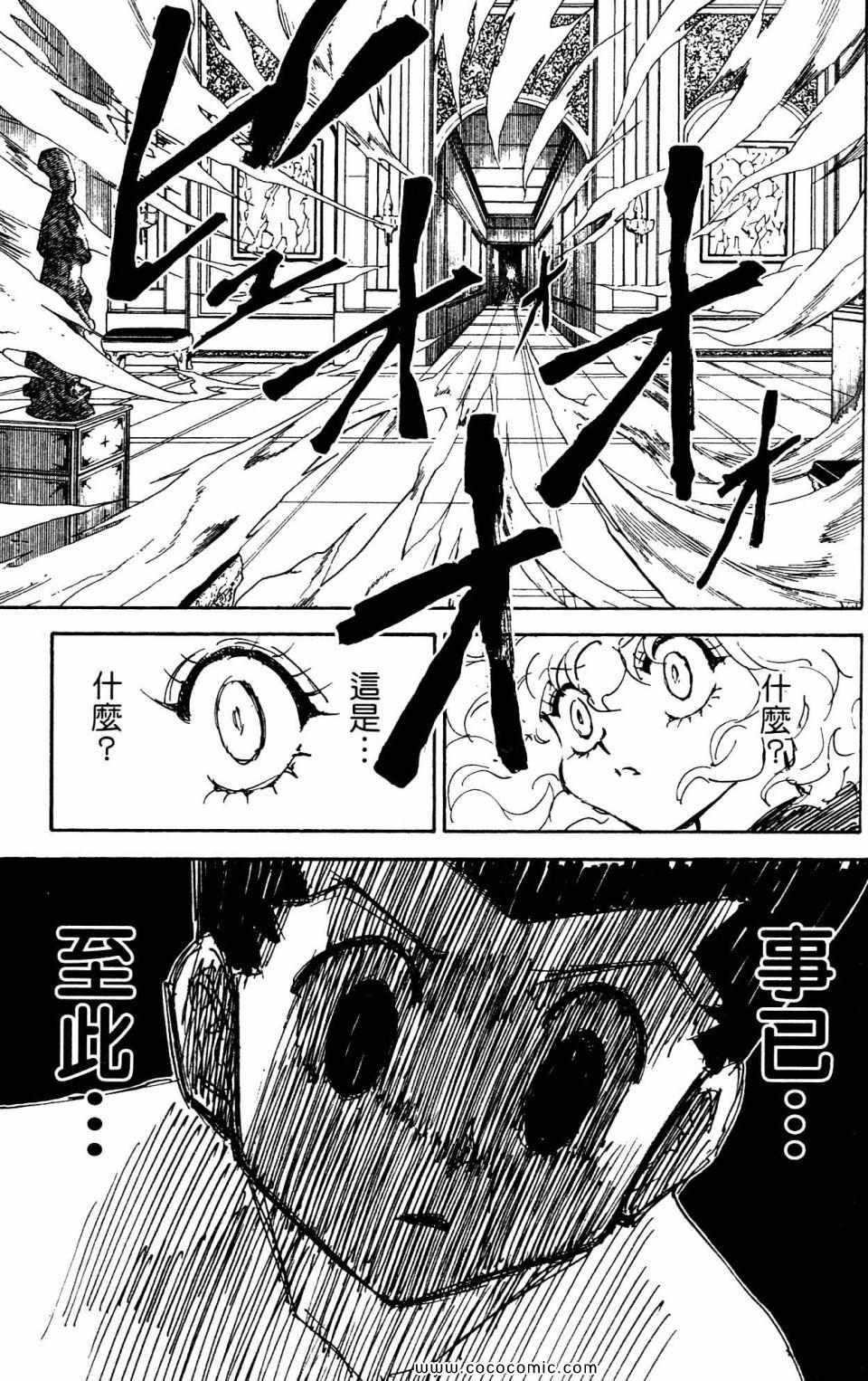 《HunterXHunter 猎人》漫画 猎人29卷