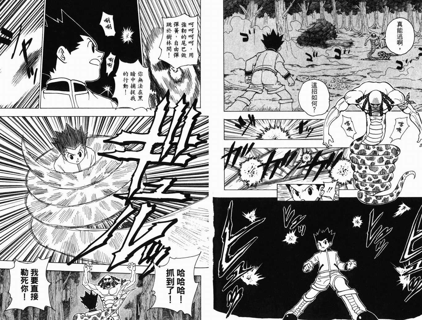 《HunterXHunter 猎人》漫画 猎人22卷