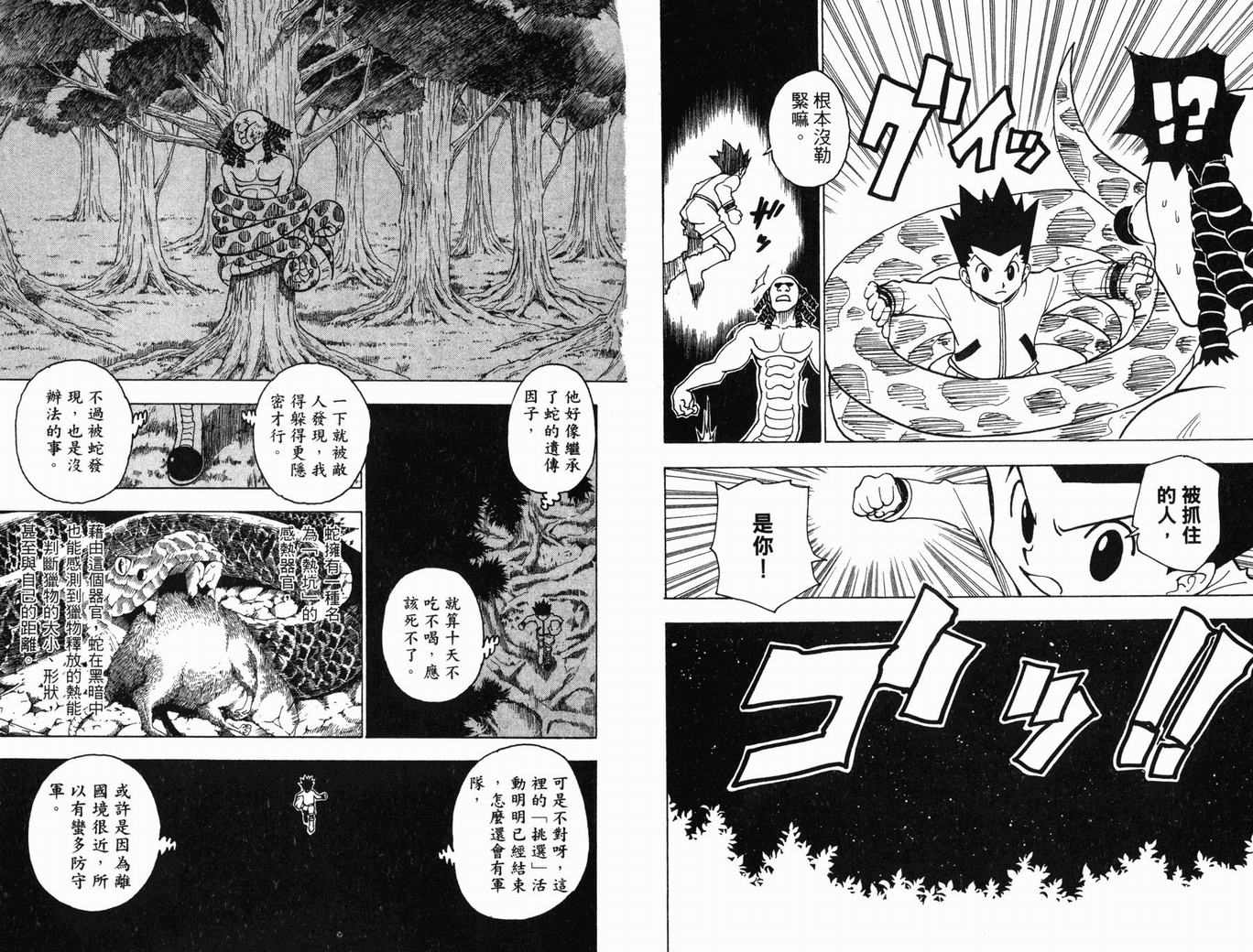 《HunterXHunter 猎人》漫画 猎人22卷