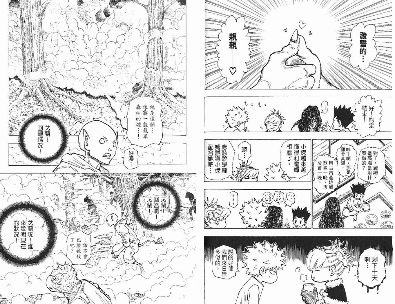 《HunterXHunter 猎人》漫画 猎人20卷