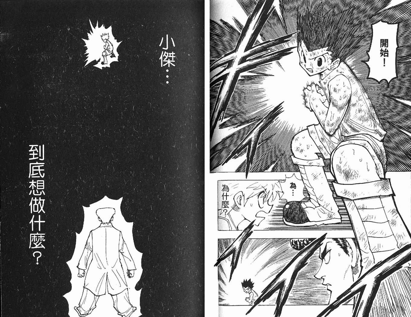 《HunterXHunter 猎人》漫画 猎人20卷