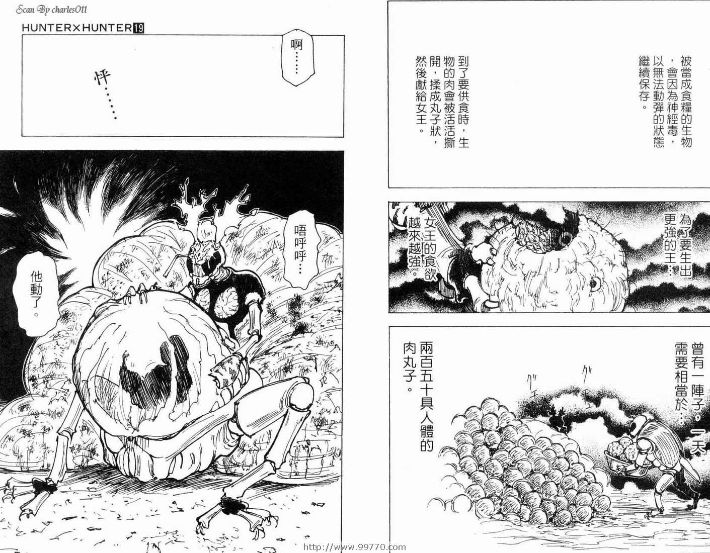 《HunterXHunter 猎人》漫画 猎人19卷