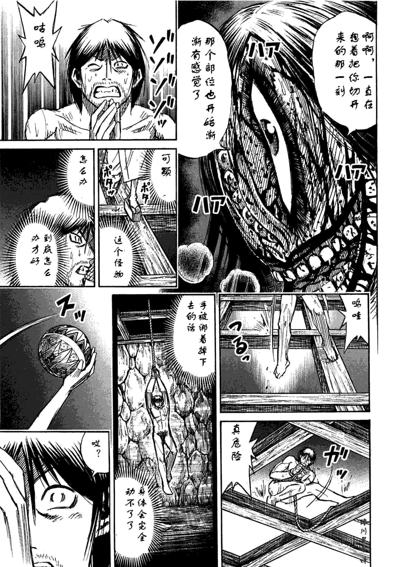 《彼岸岛》漫画 30卷