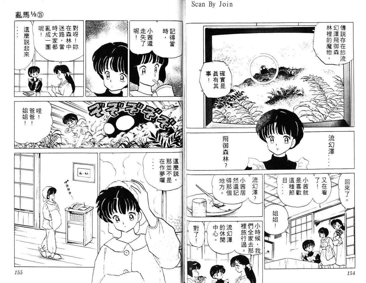 《乱马1/2》漫画 25卷