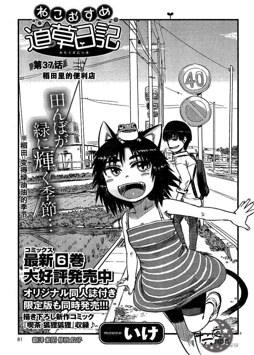 《猫娘道草日记》漫画 037集