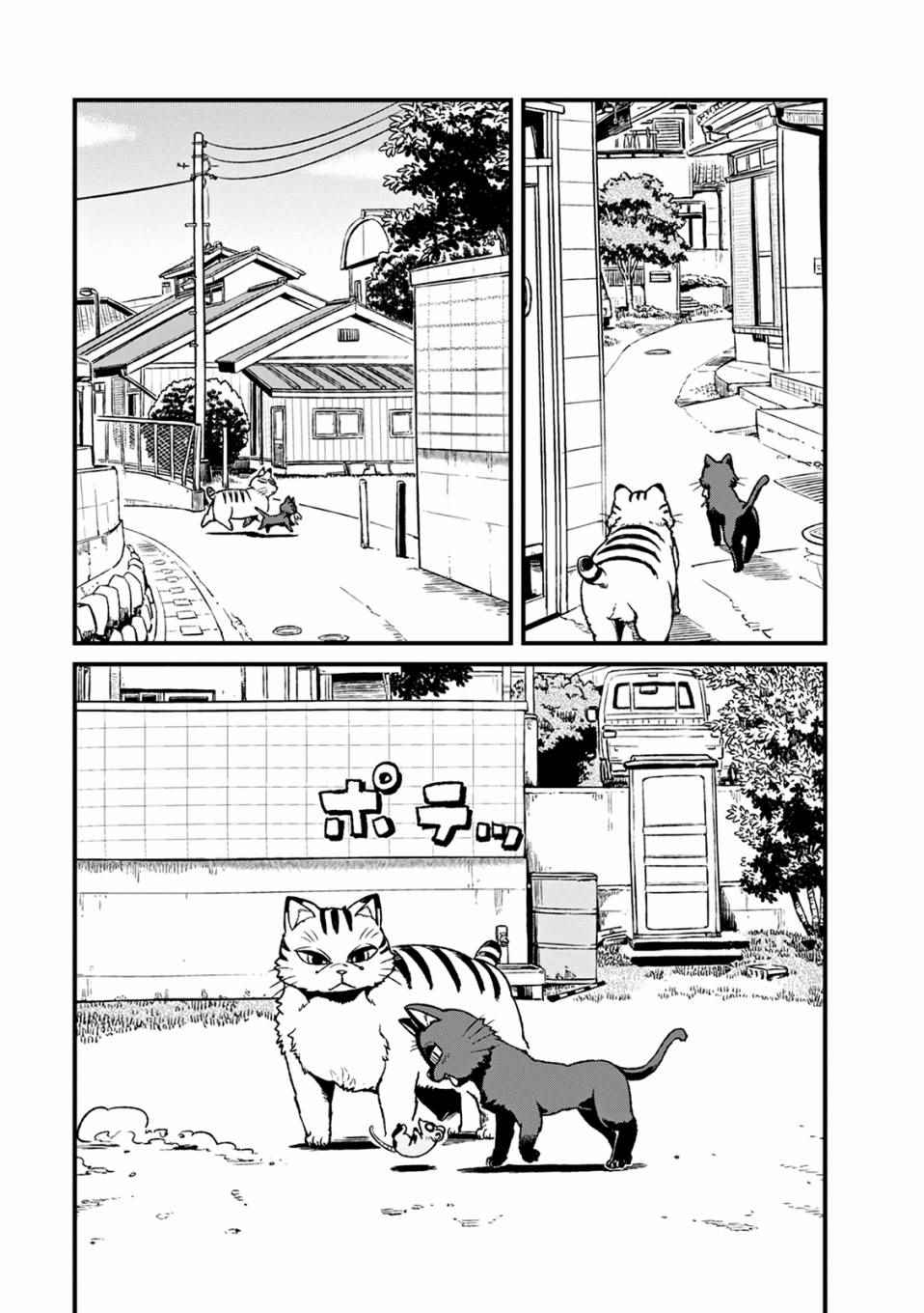 《猫娘道草日记》漫画 079话