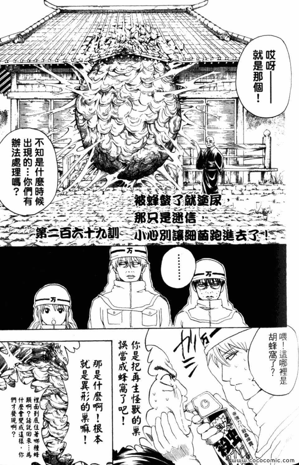 《银魂》漫画 31卷