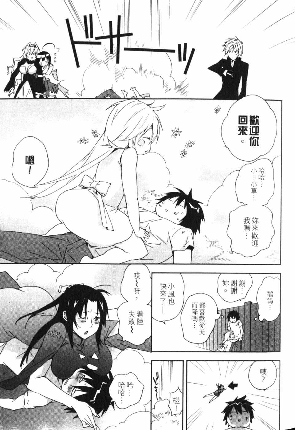 《鹡鸰女神》漫画 11卷