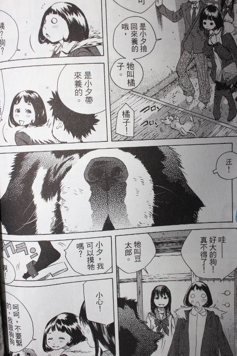 《纯爱涂鸦》漫画 30卷试看