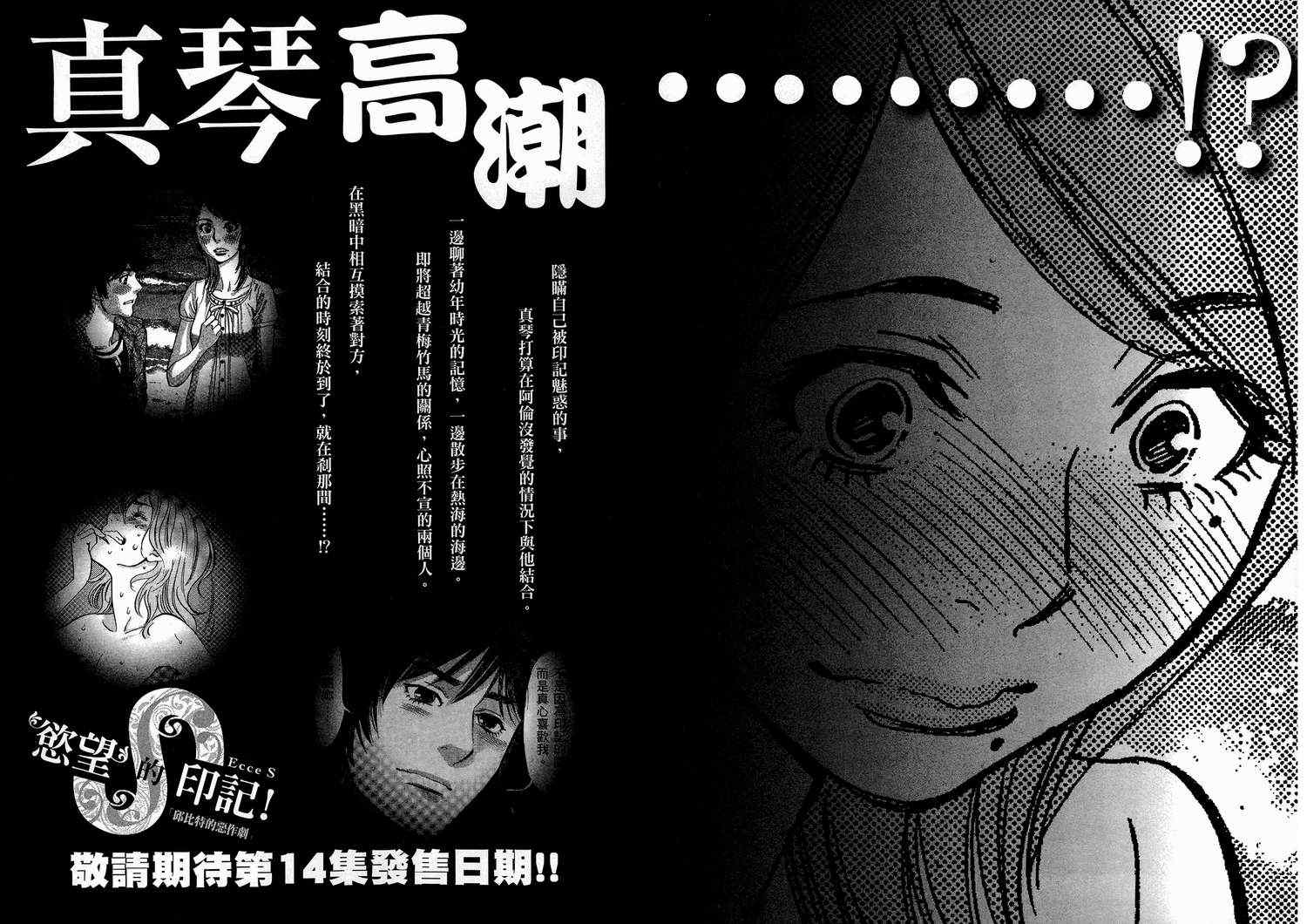 《S·欲望的印记！》漫画 S欲望的印记 13卷