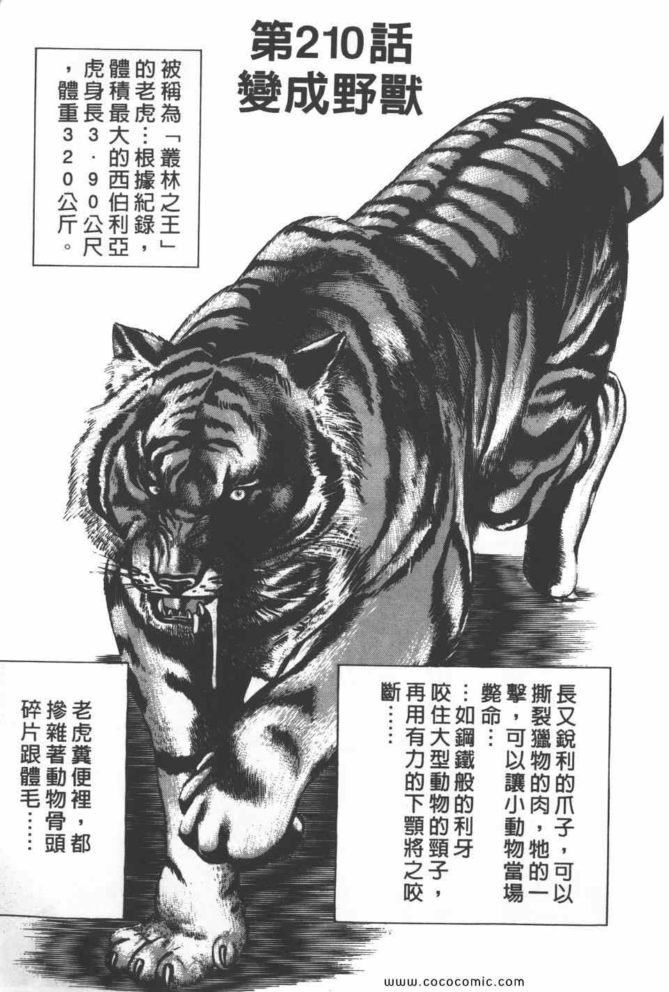 《高校铁拳传》漫画 铁拳传 20卷