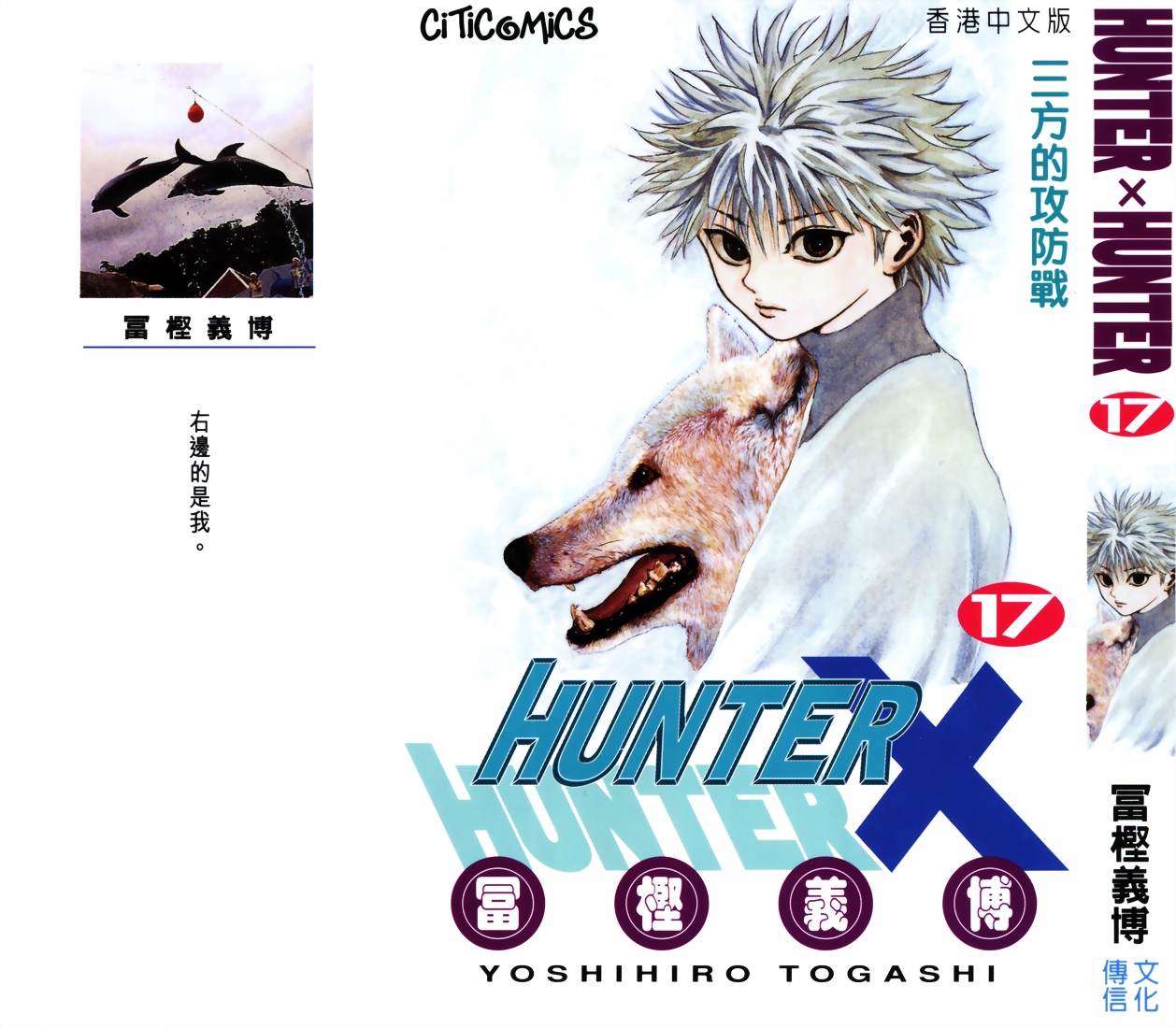 《猎人》漫画 hunterxhunter17卷