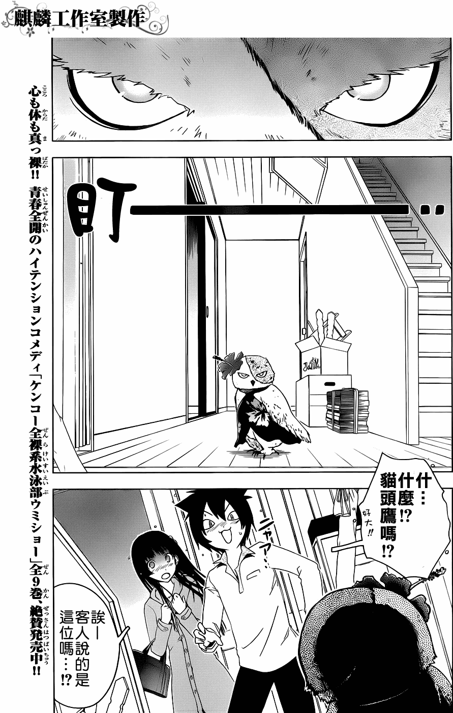 《散华礼弥》漫画 011集