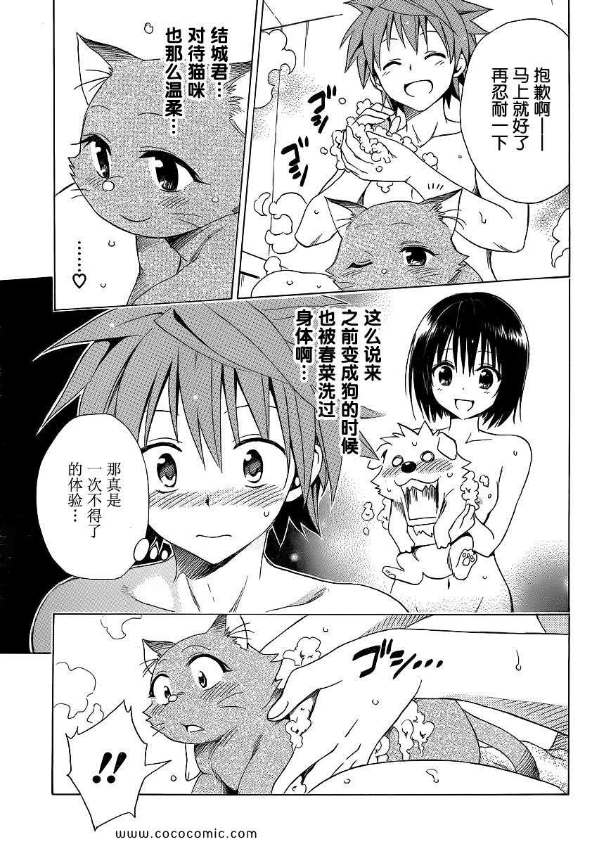 《ToLoveRu Darkness》漫画 Darkness 番外篇03