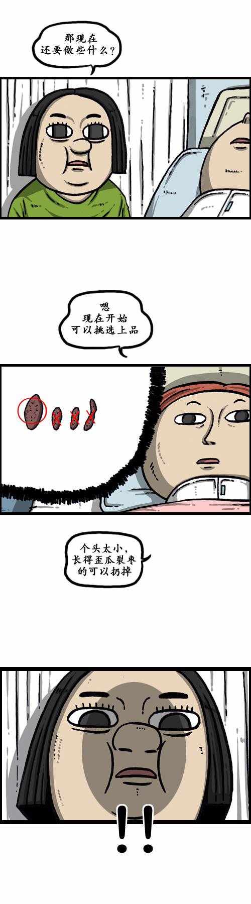 《漫画家日记》漫画 179话