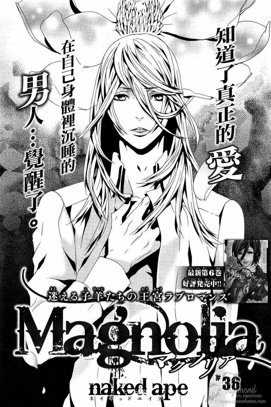 《Magnolia》漫画 036集