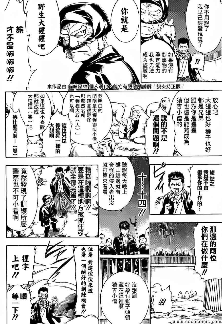 《银魂》漫画 482集