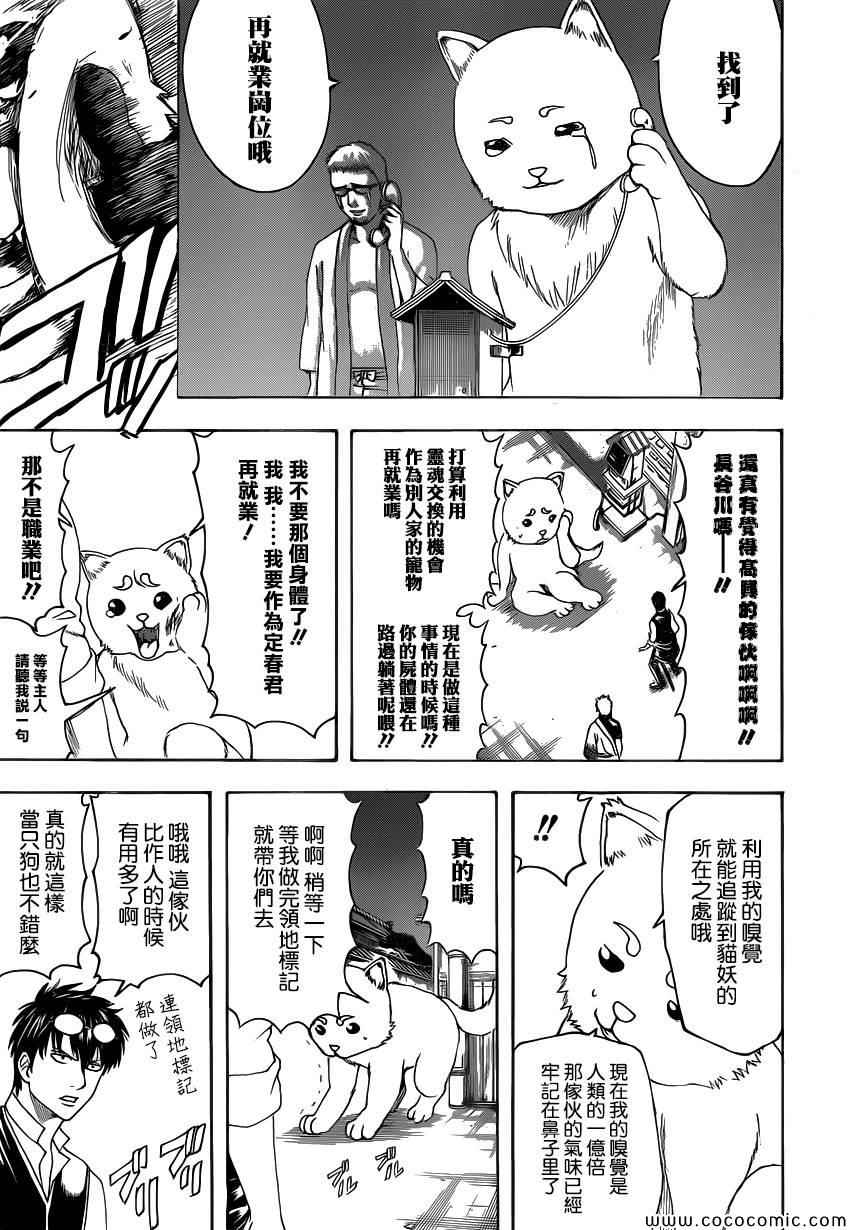 《银魂》漫画 475集