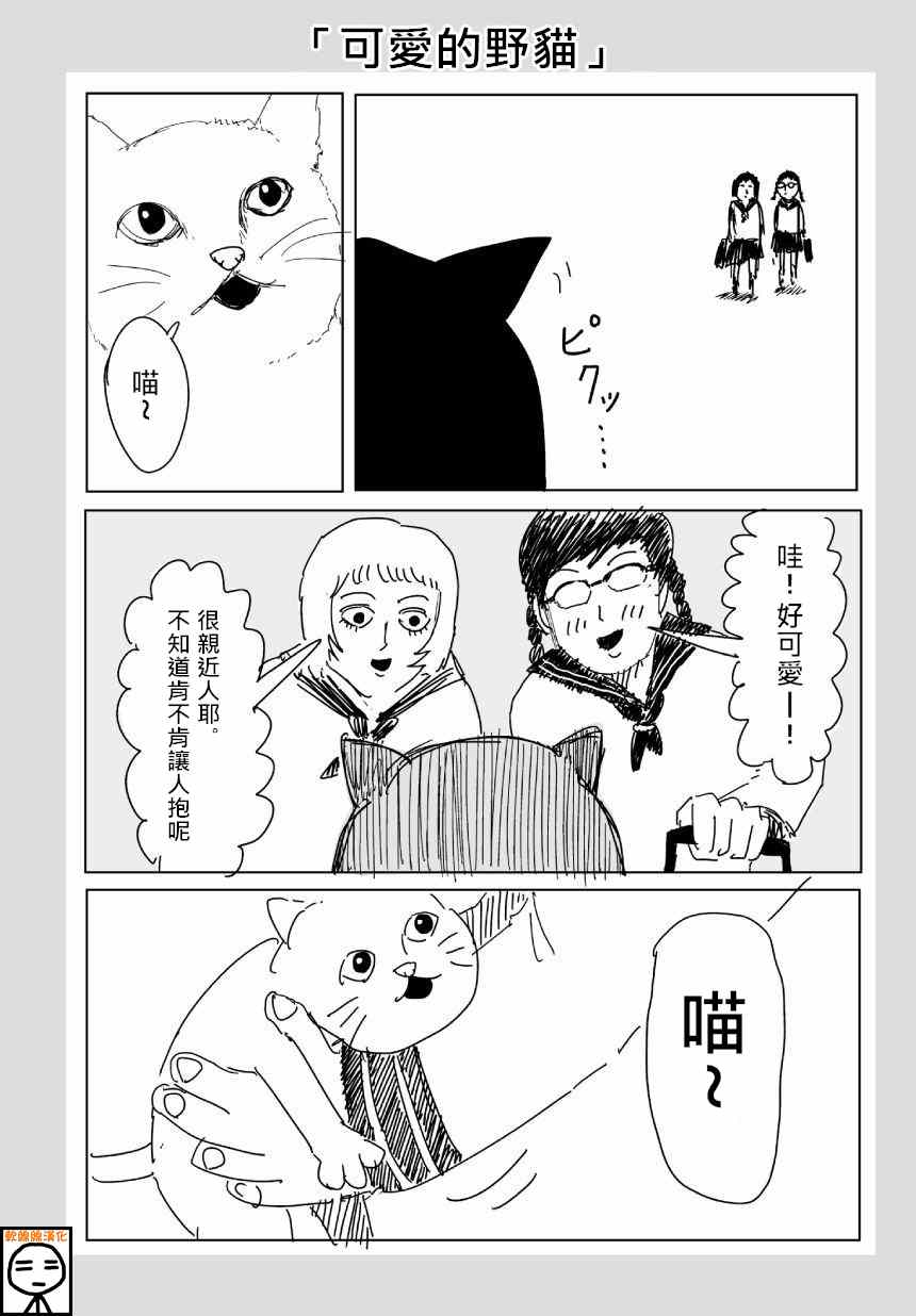 《一拳超人》漫画 ONE老师版 可爱的野猫