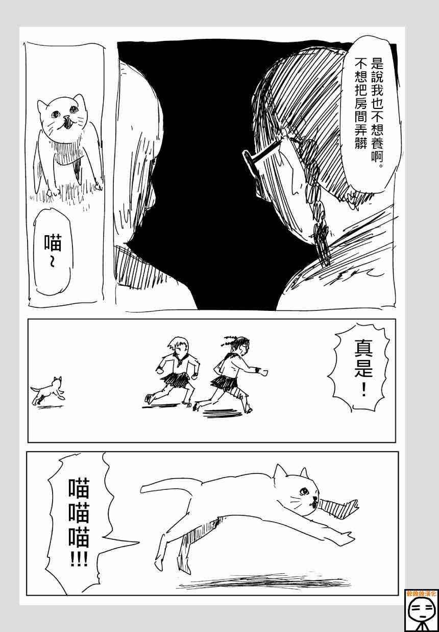 《一拳超人》漫画 ONE老师版 可爱的野猫