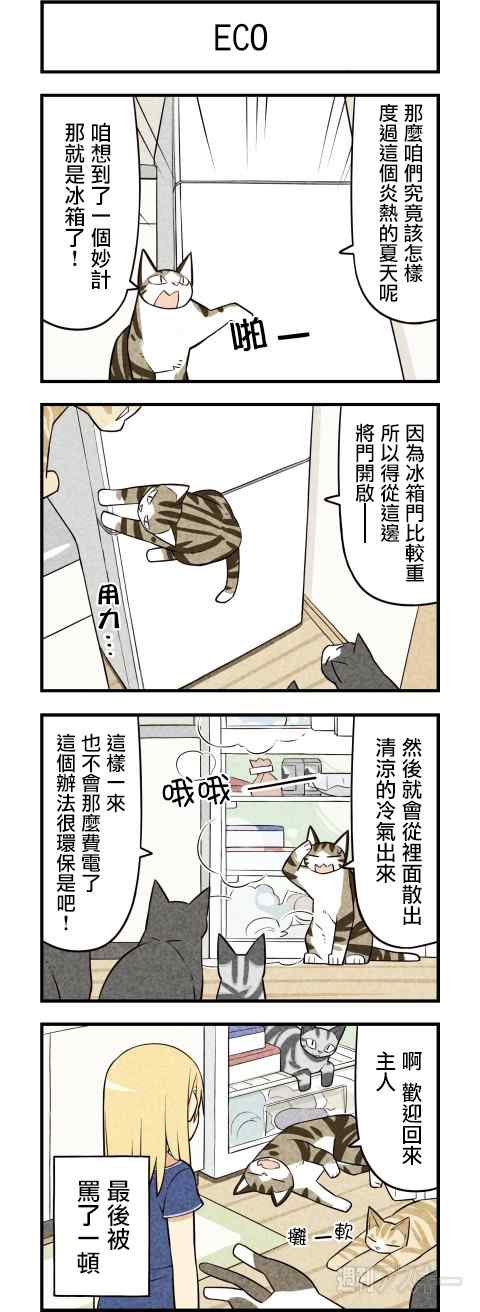 《咱们乃猫是也》漫画 033集