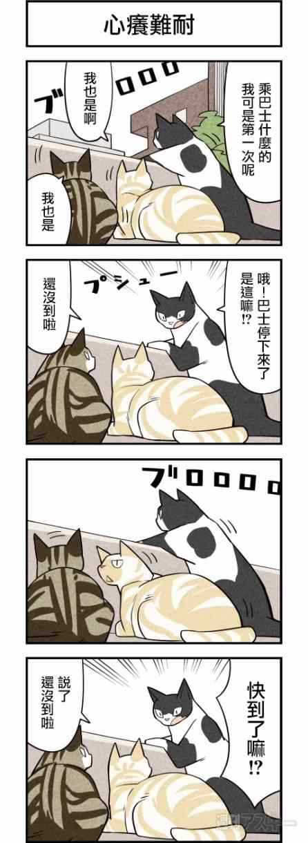 《咱们乃猫是也》漫画 026集