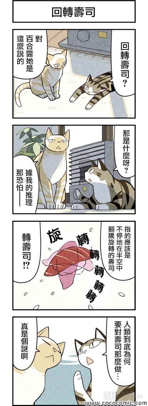 《咱们乃猫是也》漫画 019集